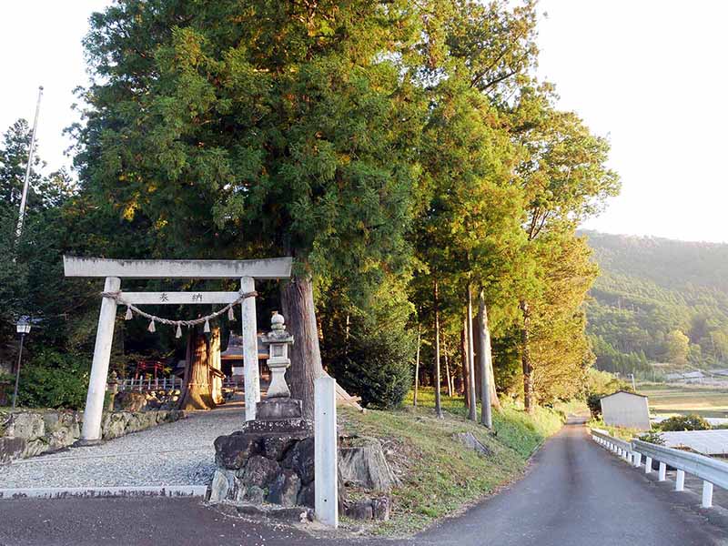 乳峯神社の夫婦杉