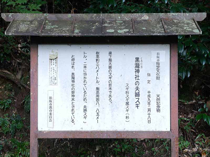 黒瀧神社の夫婦スギ