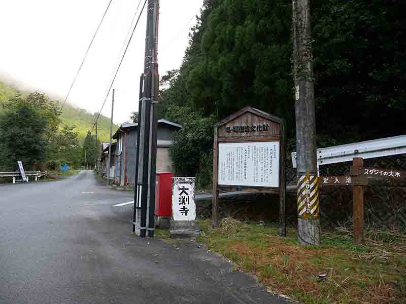 大淵寺のスダジイ