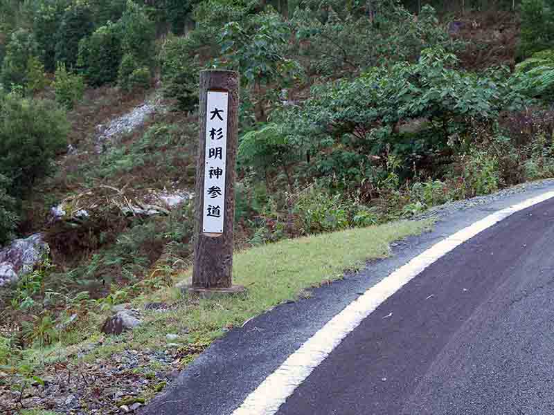 大杉谷の大スギ