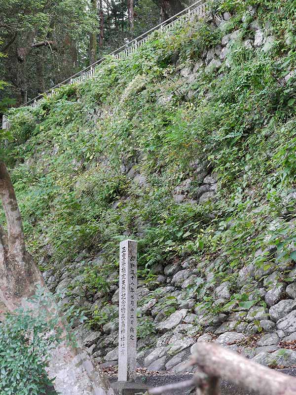 長島神社のクスノキ