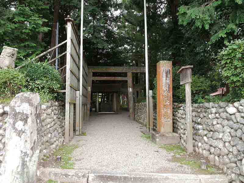 八柱神社のクスノキ