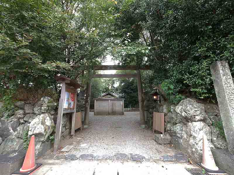 箕曲中松原神社のクス