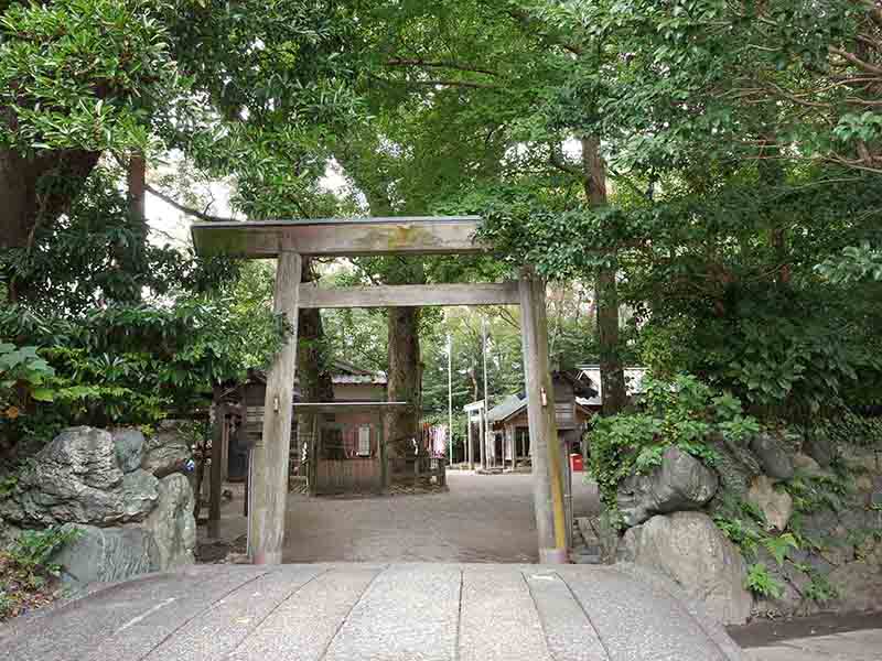 河辺七種神社のクス