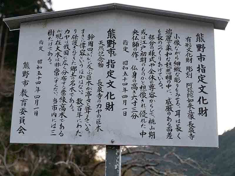 長泉寺のカヤの巨木