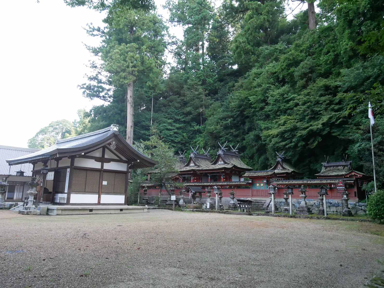 宇太水分神社の夫婦杉