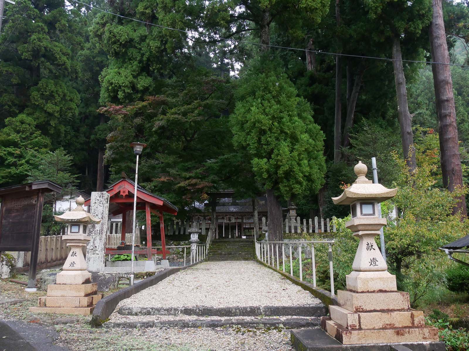 田口水分神社のイチョウ