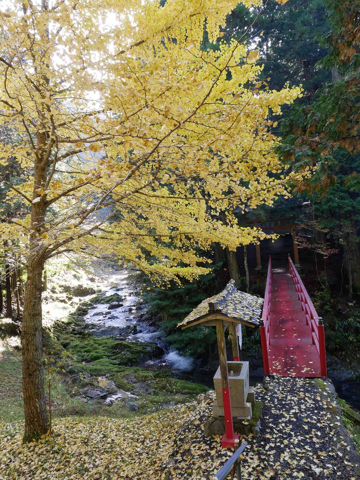 天分神社入り口