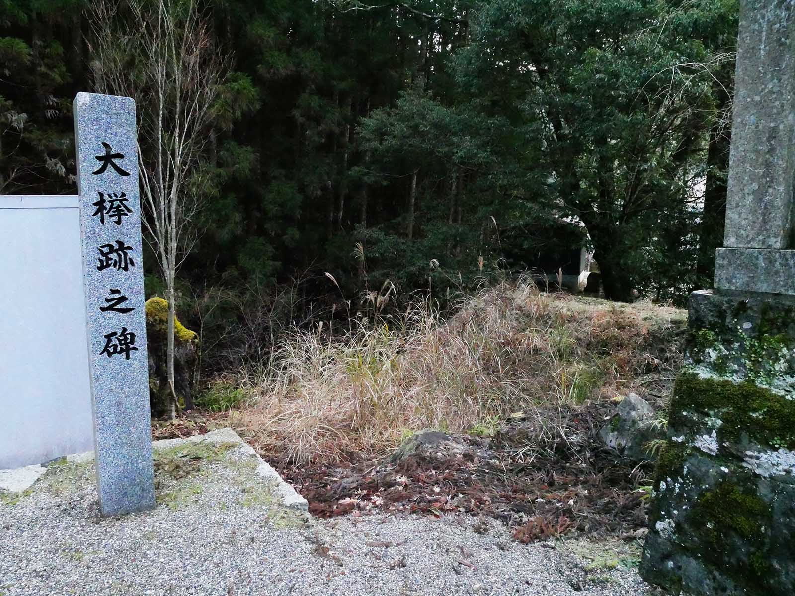 白馬寺のケヤキのあと