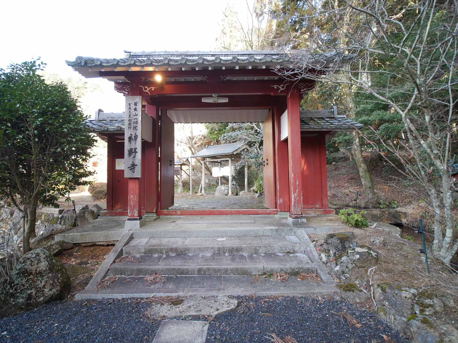 神野寺の天狗杉