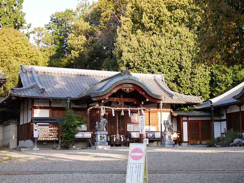 鹿島神社・エノキの巨樹