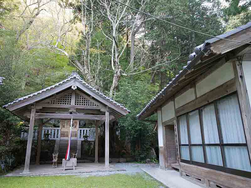 戒場神社のホオノキ