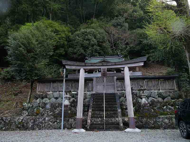 大豆生八幡神社のムクロジ 