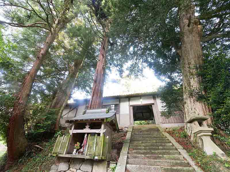 杵築神社のカヤ(右側)