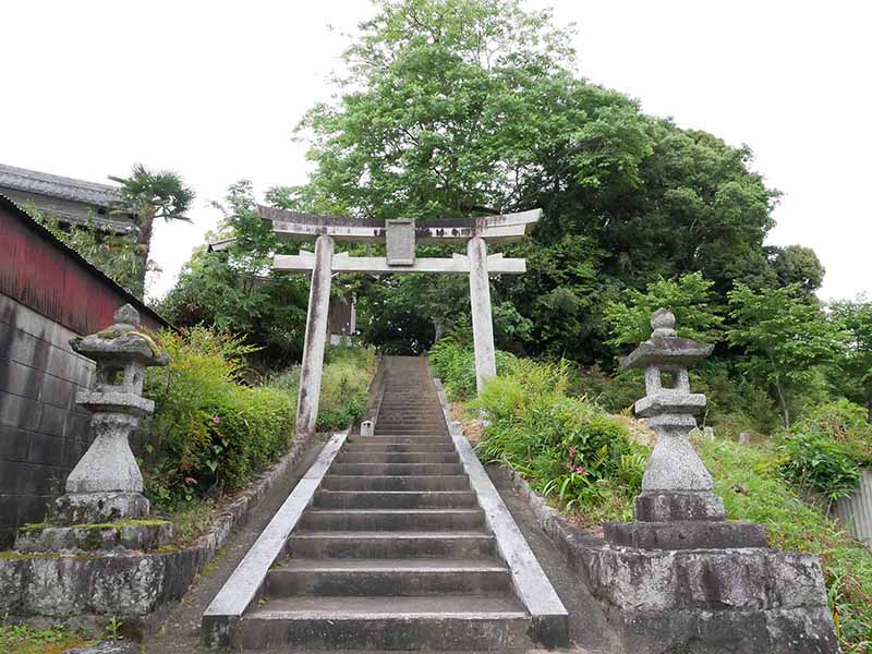 呉津孫神社のムクロジ