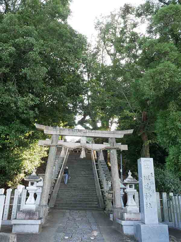 龍田神社のクス