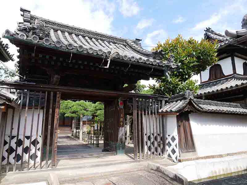 龍田神社のクス