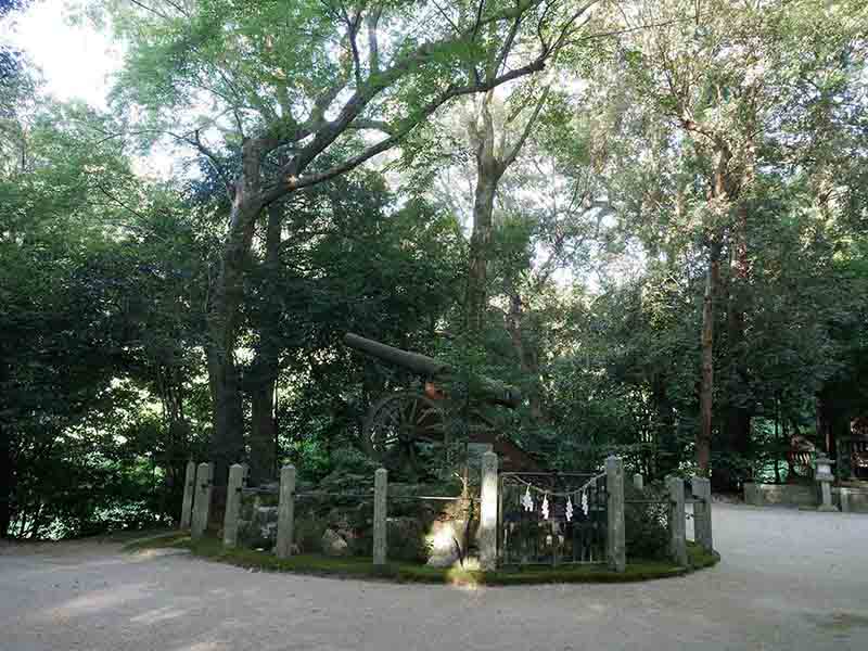 笛吹神社のイチイガシ林