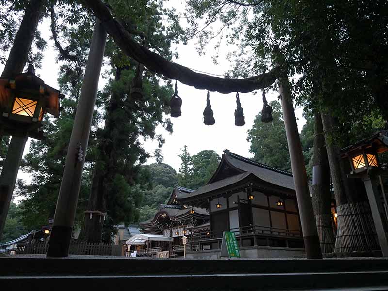 大神神社の巳の神杉