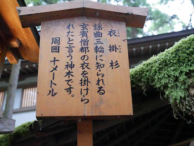 大神神社の衣掛杉、しるしの杉、緒環杉