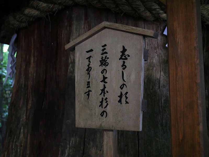 大神神社の衣掛杉、しるしの杉、緒環杉