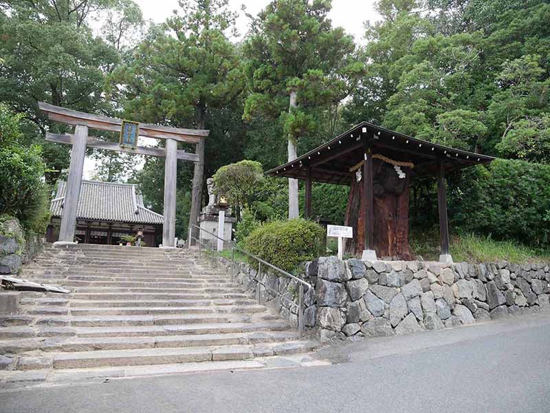 大神神社の衣掛杉、しるしの杉、緒環杉