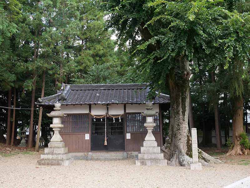 西之宮三輪神社のケヤキ