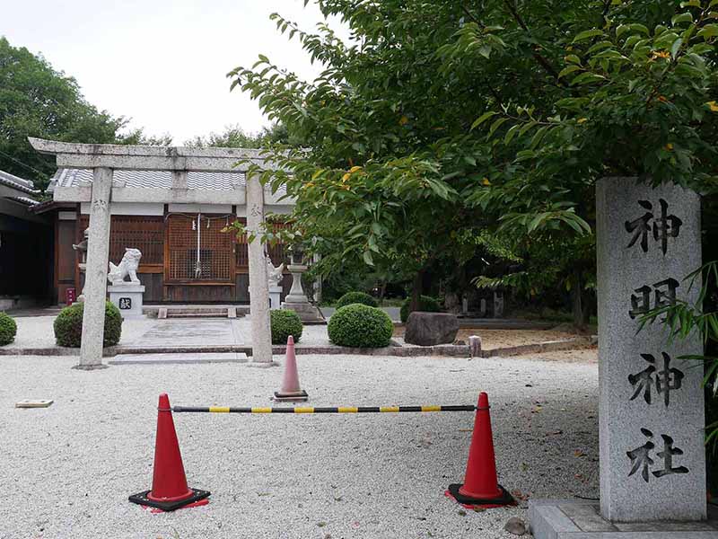 三輪神明神社のムクノキ