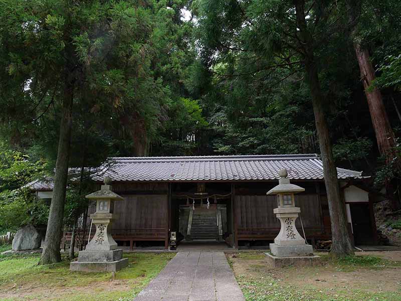 神楽岡神社のスギ