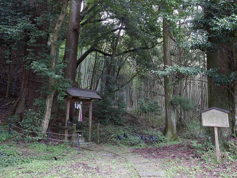 大宇陀春日・春日神社のスギ