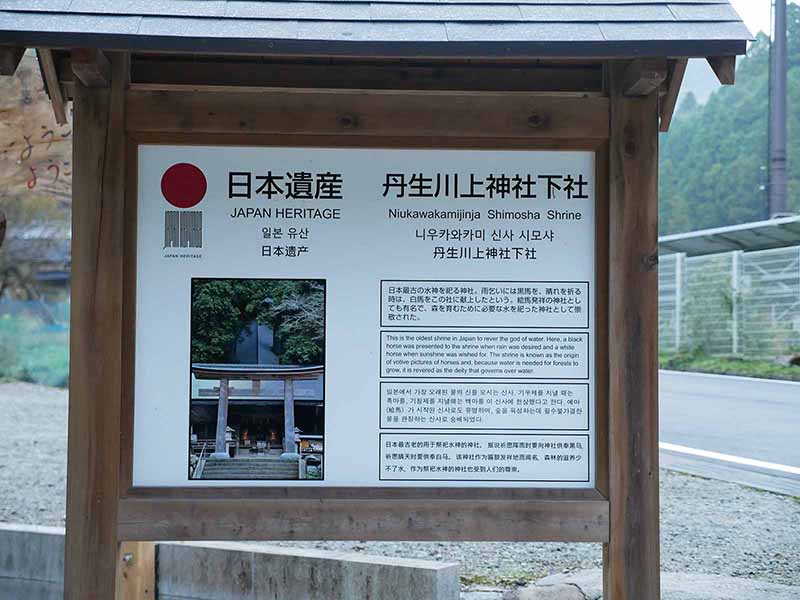 丹生川上神社下社のスギ