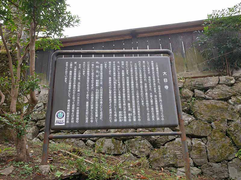 勝手神社のケヤキ