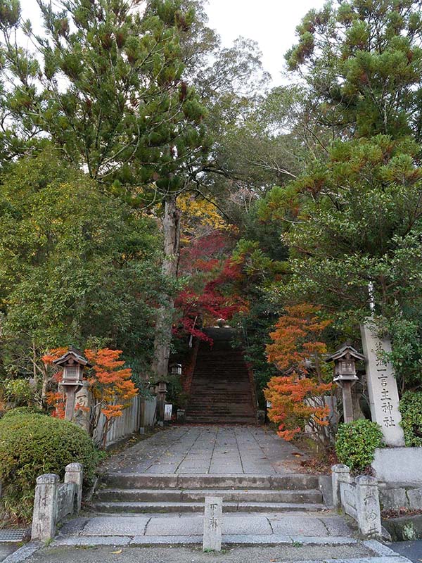 一言主神社の大イチョウ