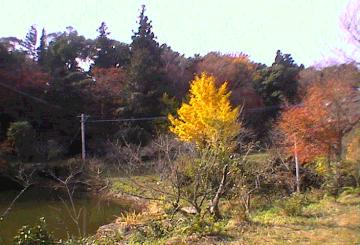 正平寺