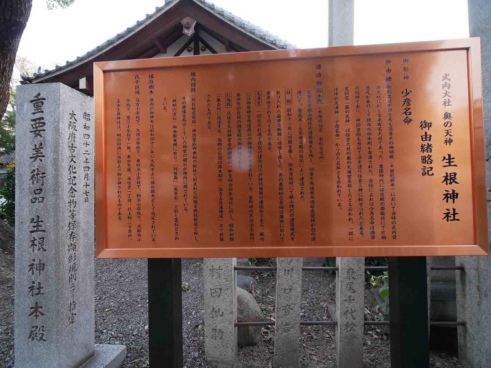 生根神社のモチノキ