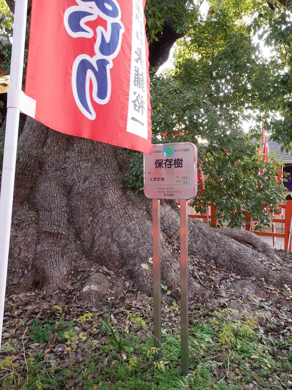 住吉大社の千年楠