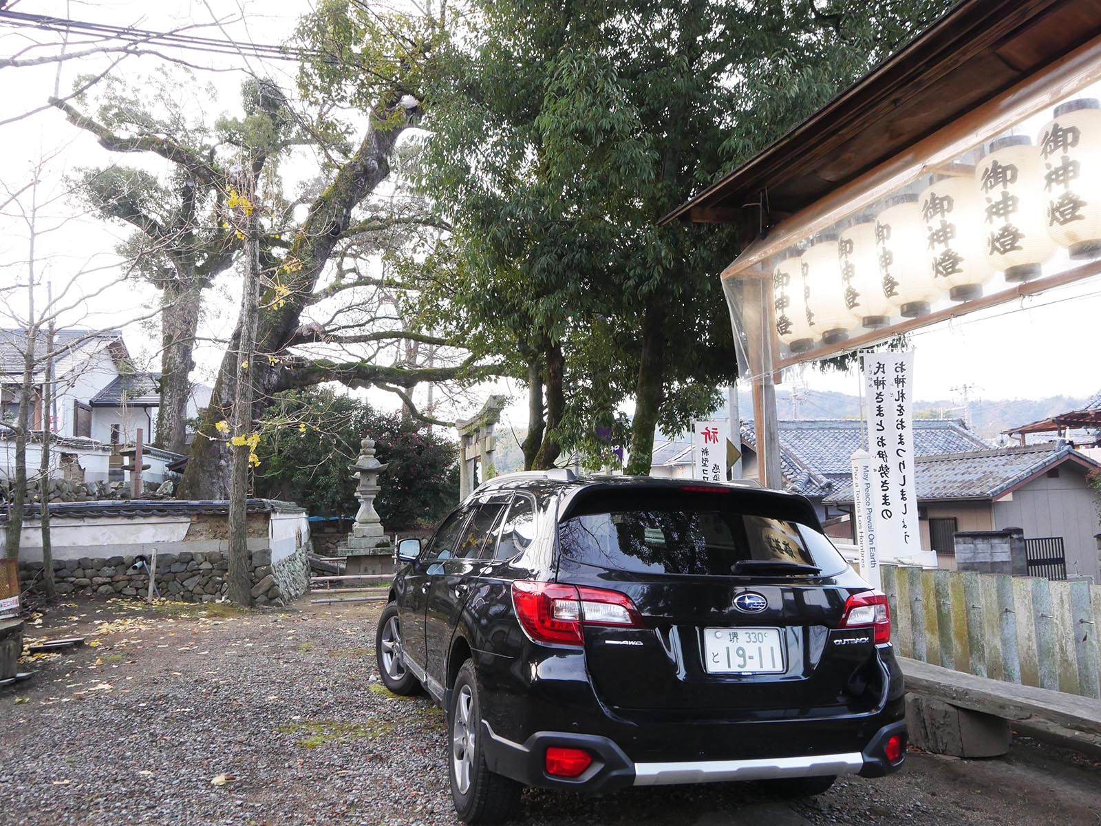 積川神社の椋