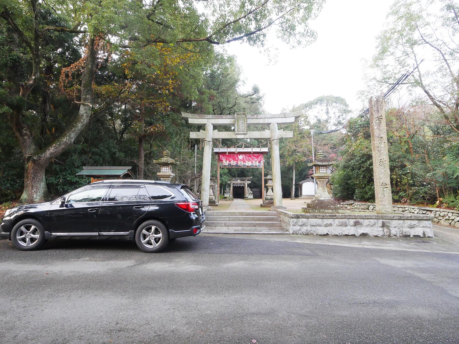 稲葉菅原神社のクスノキ