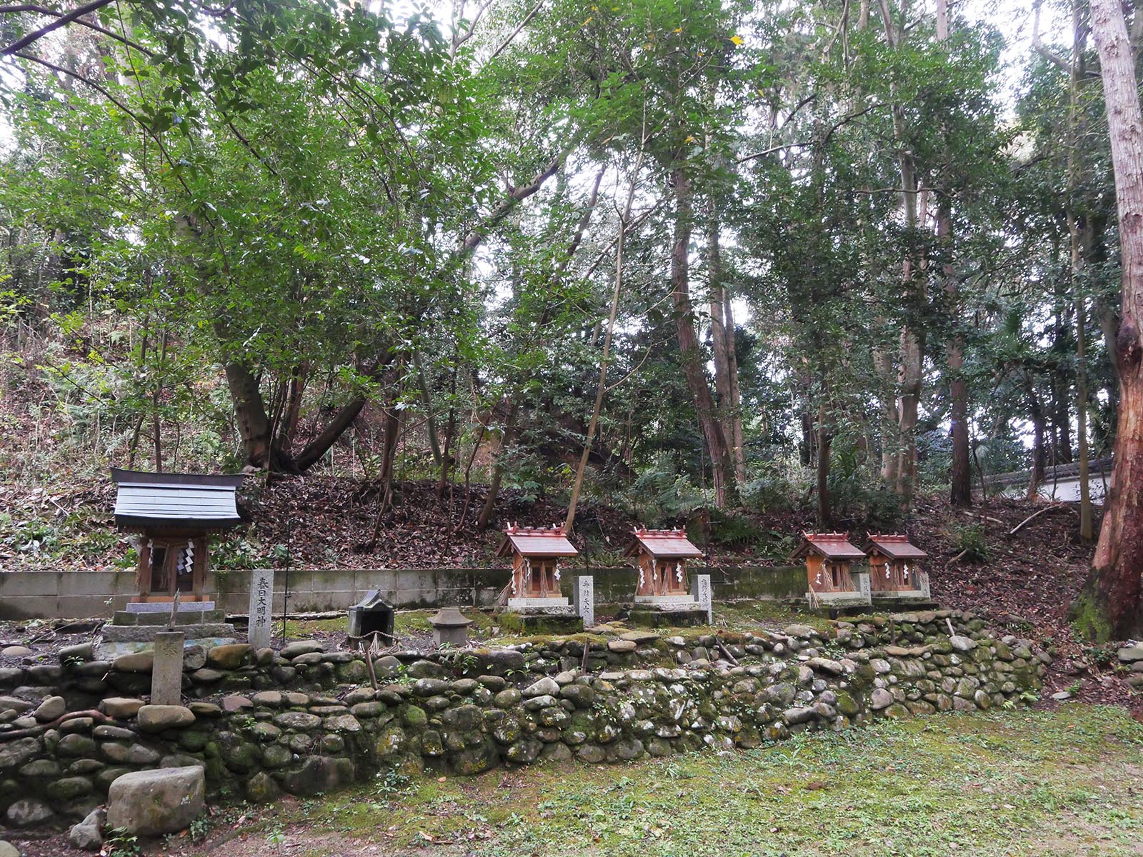 稲葉菅原神社のクスノキ