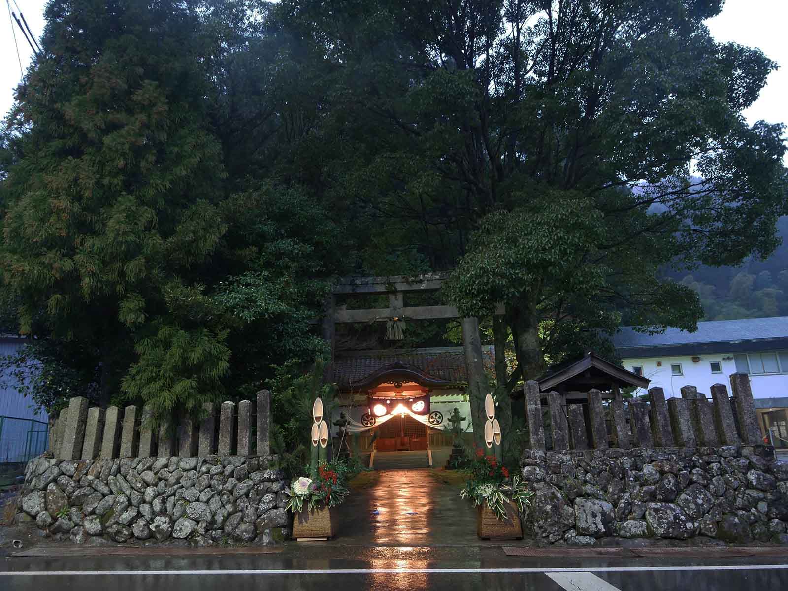 大沢神社の杉