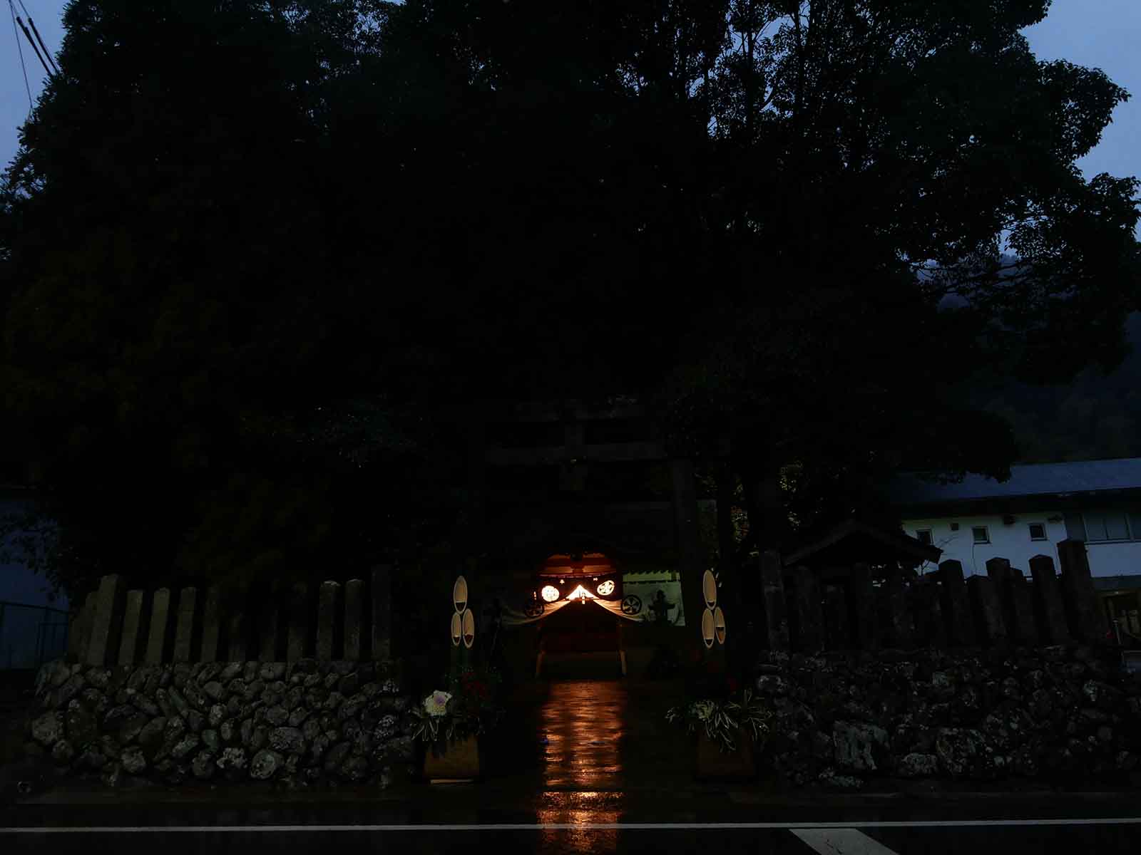 大沢神社の杉