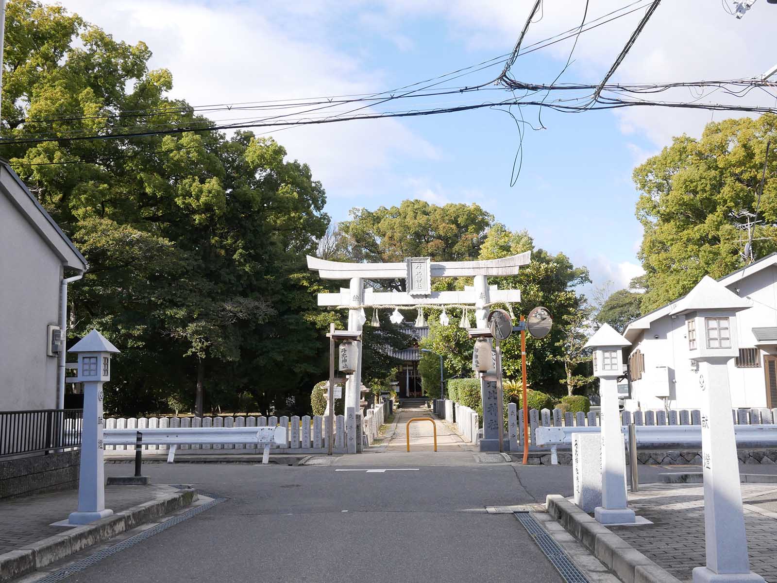 丹比神社のクスノキ