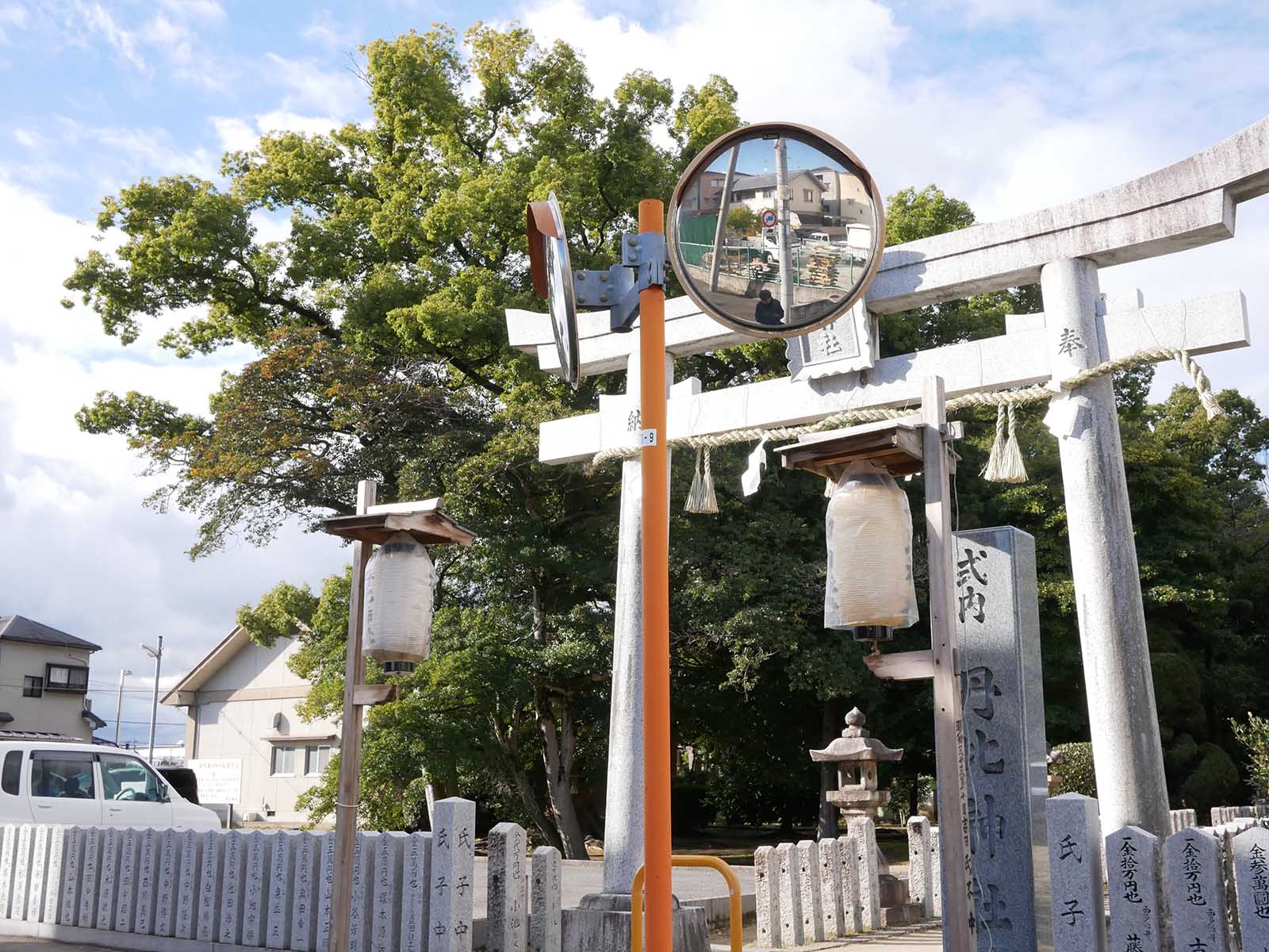 丹比神社のクスノキ