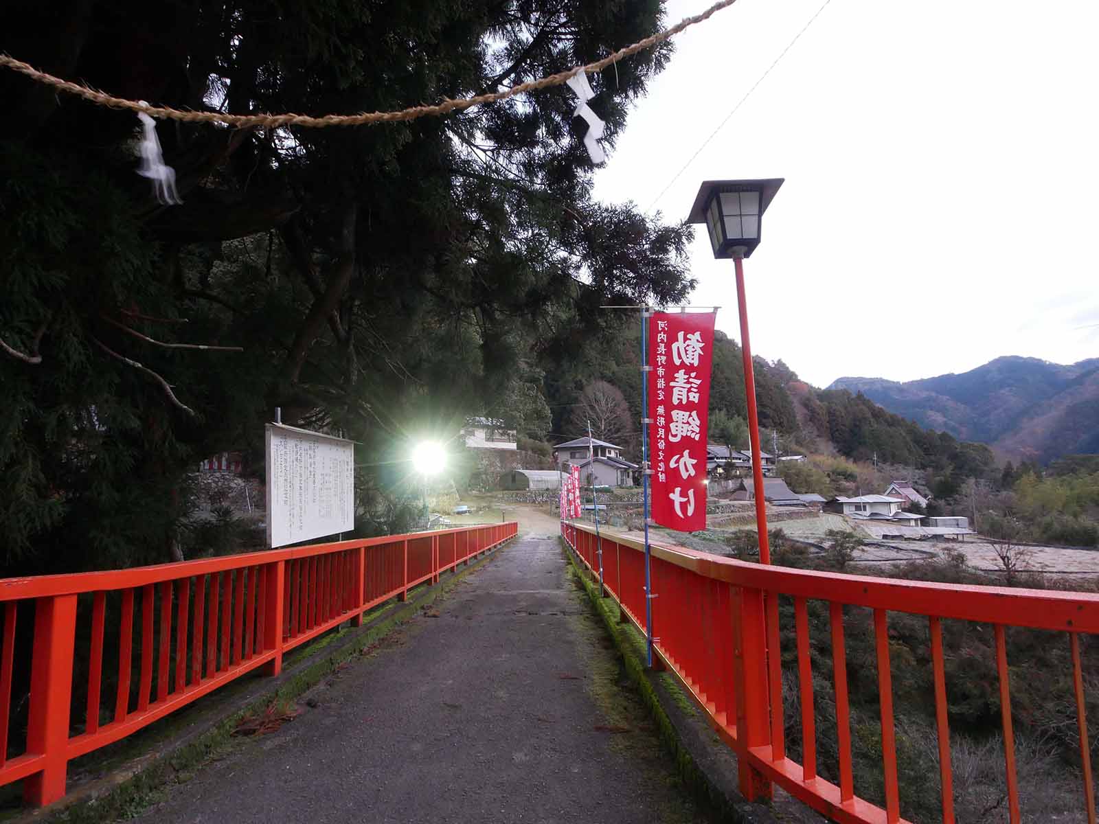 流谷八幡神社のクス