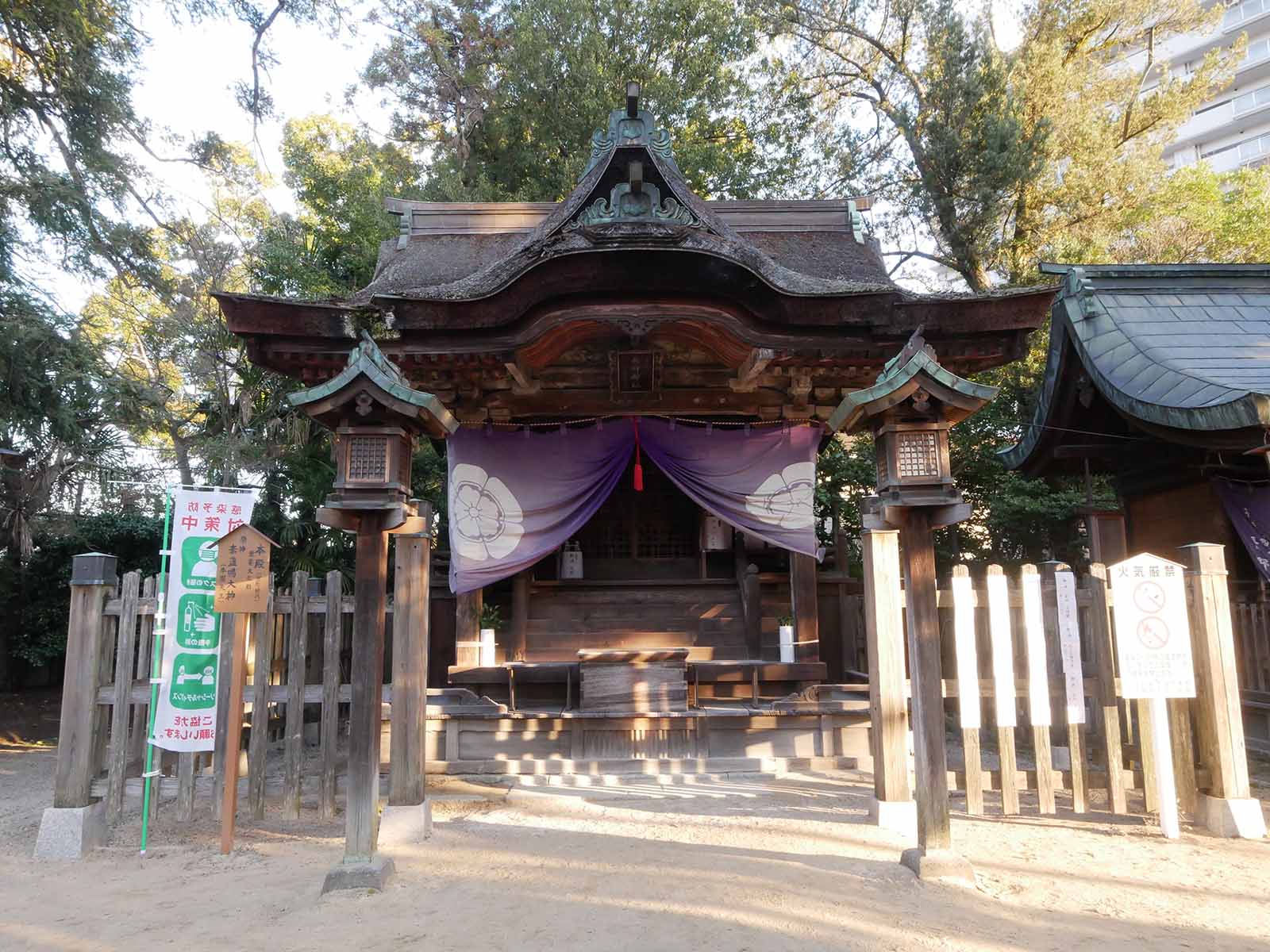 長野神社のカヤ