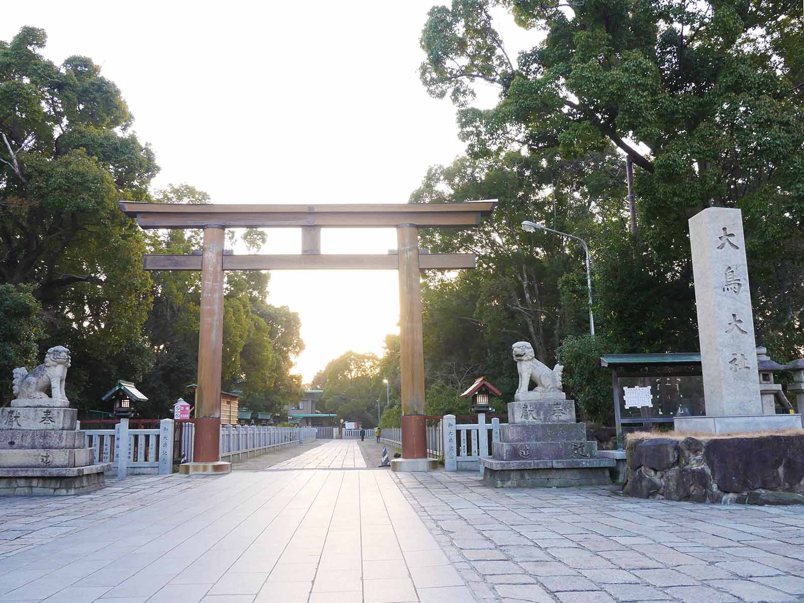 大鳥大社のエノキ