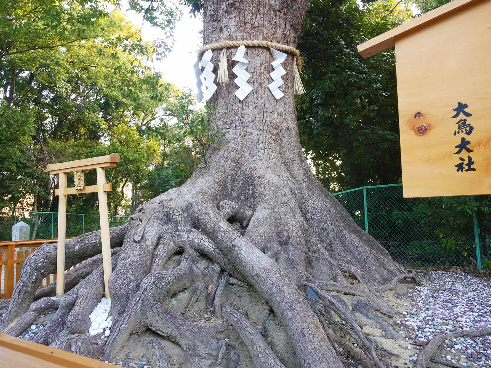 大鳥大社の巻込クス