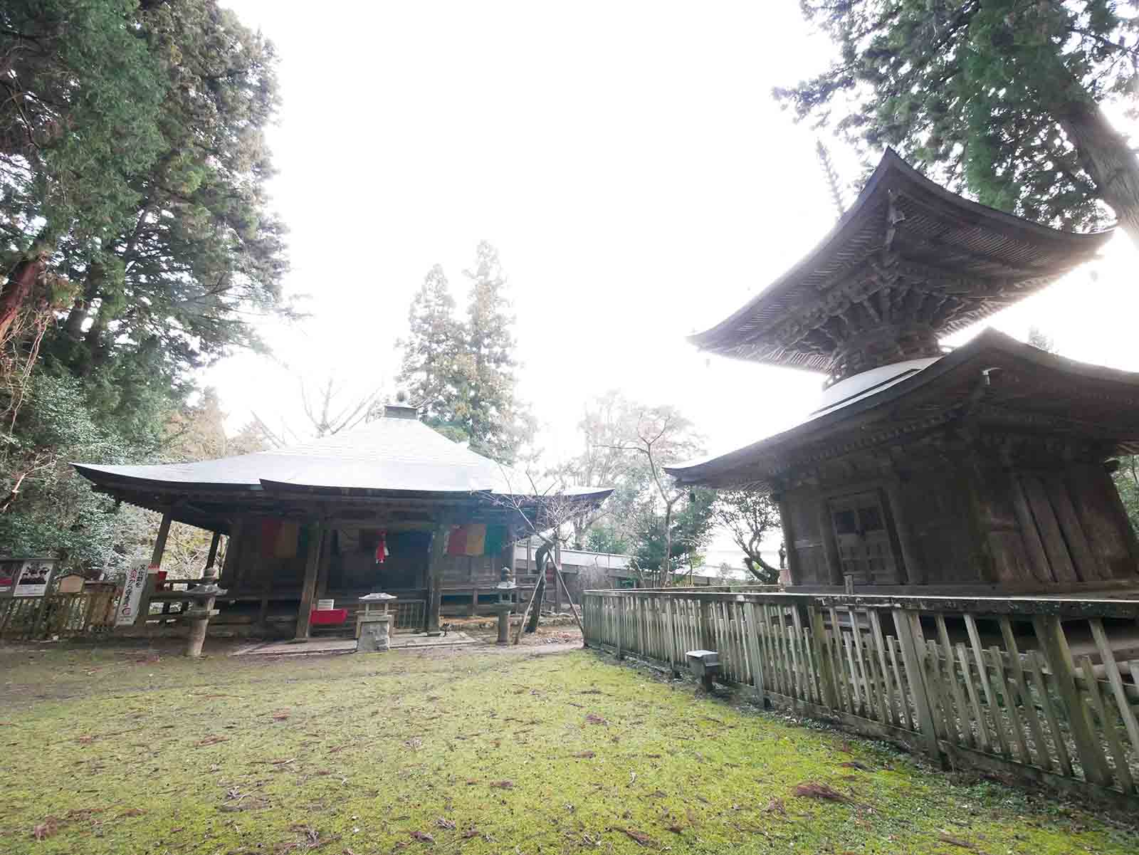 岩湧寺のカヤ