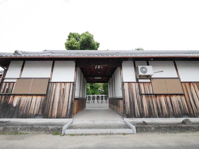 土丸春日神社のクス