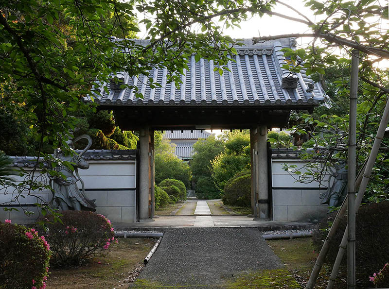 蔭涼寺のぎんもくせい